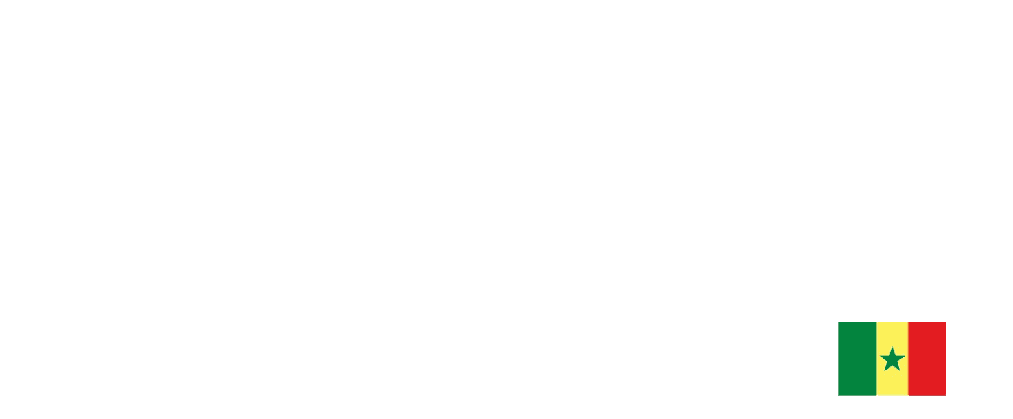 IndabaX Sénégal, Deep Learning Indaba